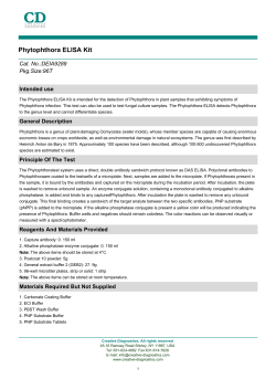 Phytophthora ELISA Kit