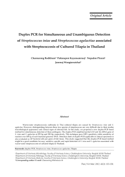 Duplex PCR for Simultaneous and Unambiguous
