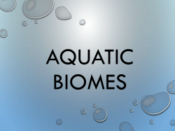 Aquatic Biomes