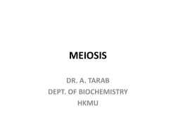 meiosis - HKMU Online