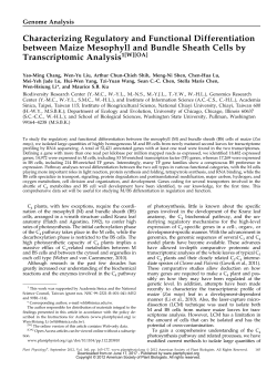 Characterizing Regulatory and Functional