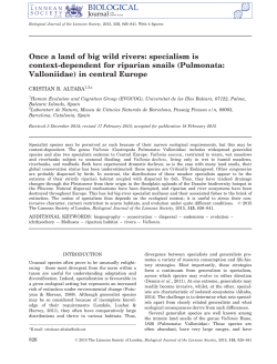 Once a land of big wild rivers