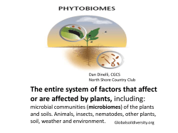 The entire system of factors that affect or are affected by plants