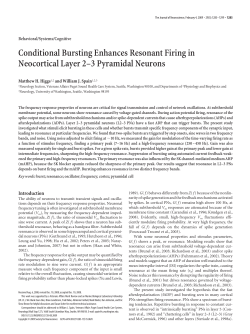 Conditional Bursting Enhances Resonant Firing in Neocortical Layer