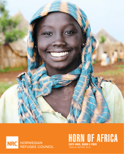 NRC Horn of Africa Annual Report 2014