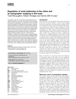 RetinaBrainAxonTarge.. - Biology Courses Server
