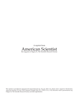 The Useful Pursuit of Shadows