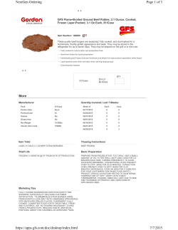 2015 Hamburger Patty.xps