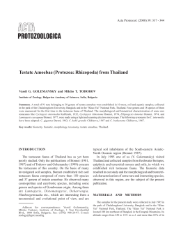 Testate Amoebae (Protozoa: Rhizopoda) from Thailand