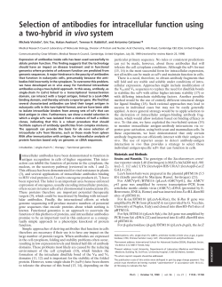Selection of antibodies for intracellular function
