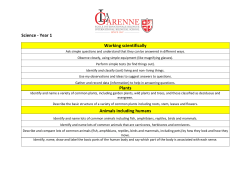 Science - Year 1 Working scientifically Plants Animals including