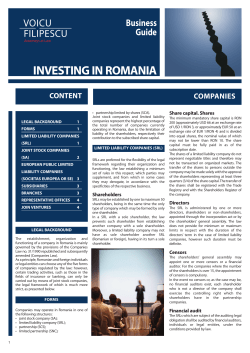 Companies - Voicu Filipescu