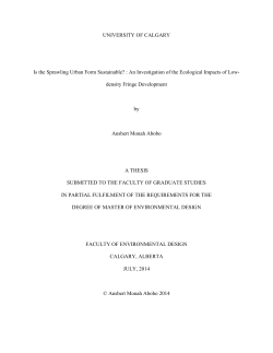 Is the Sprawling Urban Form Sustainable?: An Investigation of the