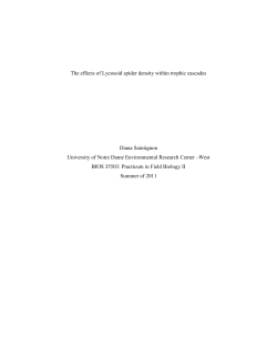 Diana Saintignon - underc - University of Notre Dame