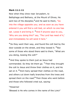 Mark 11:1-11 Now when they drew near Jerusalem, to Bethphage