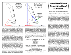 How Hoof Form Relates to Hoof Function
