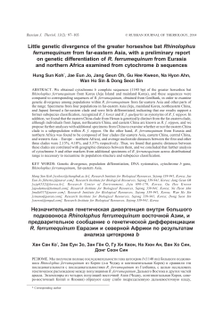 Little genetic divergence of the greater horseshoe bat Rhinolophus