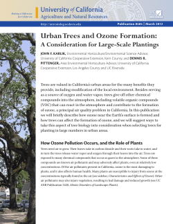 Urban Trees and Ozone Formation