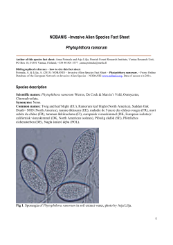 NOBANIS &ndash;Invasive Alien Species Fact Sheet Phytophthora ramorum