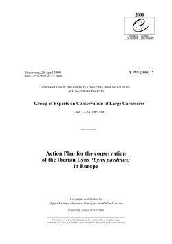 Iberian Lynx in Europe