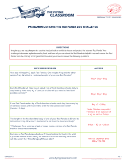 PANDAMONIUM! SAVE THE RED PANDA ZOO CHALLENGE www