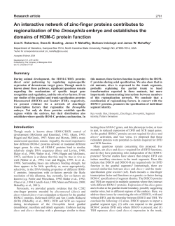 An interactive network of zinc-finger proteins