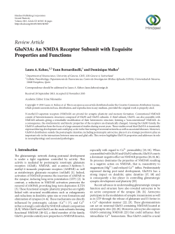 GluN3A: An NMDA Receptor Subunit with Exquisite Properties and