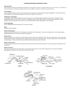 Comparing Arthropods Lab Reference Sheet