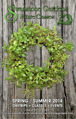 Swanstone Gardens Spring 2014