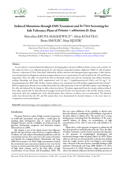 Induced Mutations through EMS Treatment and In Vitro Screening