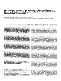 Axotomy-like Changes in Cat Motoneuron Electrical Properties