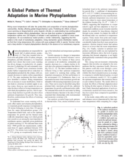 A Global Pattern of Thermal Adaptation in Marine Phytoplankton