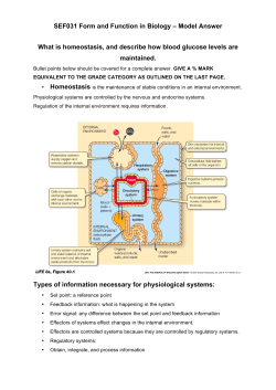 SEF031 Form and Function in Biology &ndash; Model Answer What is