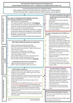 Neonatal Hepatitis B Pathway