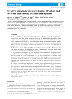 Invasive seaweeds transform habitat structure and increase