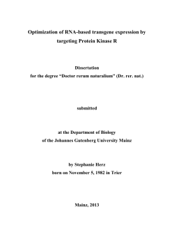 Optimization of RNA-based transgene expression by targeting