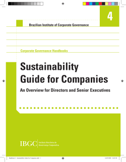 Sustainability Guide for Companies