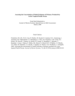 Assessing the Uncertainties of Model Estimates of Primary