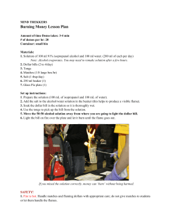 Burning Money Lesson Plan