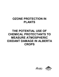 OZONE PROTECTION IN PLANTS THE POTENTIAL USE OF