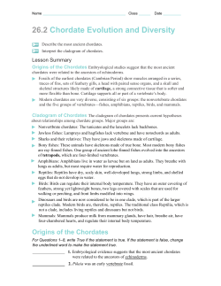 26.2 Chordate Evolution and Diversity