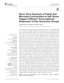 Short-Term Exposure of Paddy Soil Microbial Communities to Salt