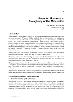 as PDF