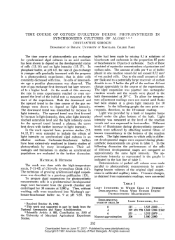 synchronized cultures of algae1 2,3