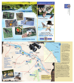 our birding brochure