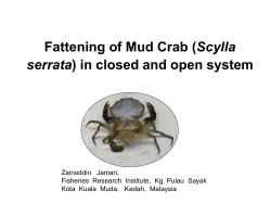 Fattening of Mud Crab (Scylla serrata) in closed and open system