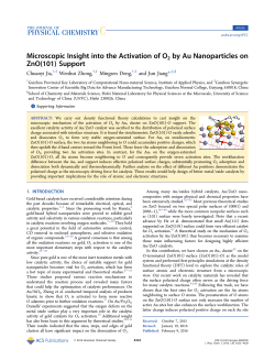 Microscopic Insight into the Activation of O2 by