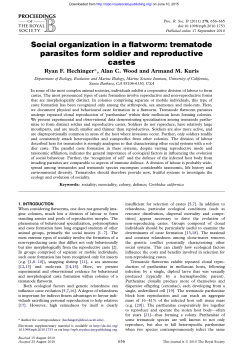 Social organization in a flatworm: trematode parasites form soldier