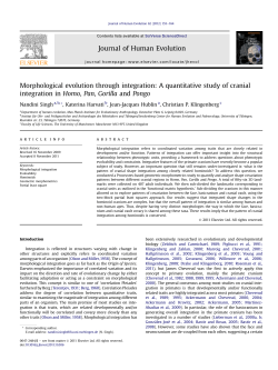 Morphological evolution through integration: A quantitative study of
