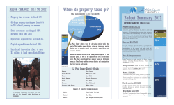 Budget Summary 2017